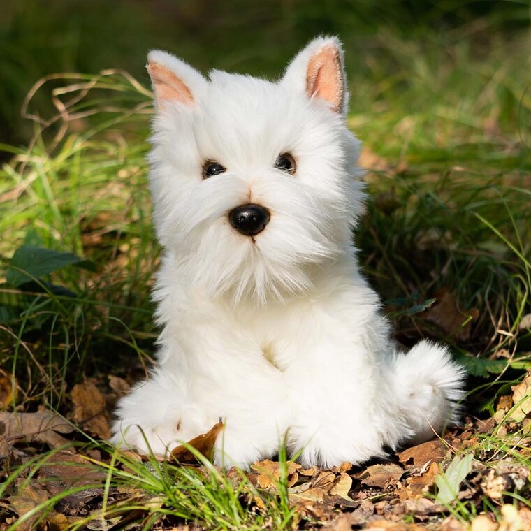 Product Image for Animigos World of Nature - West highland vit terrier 24 cm
