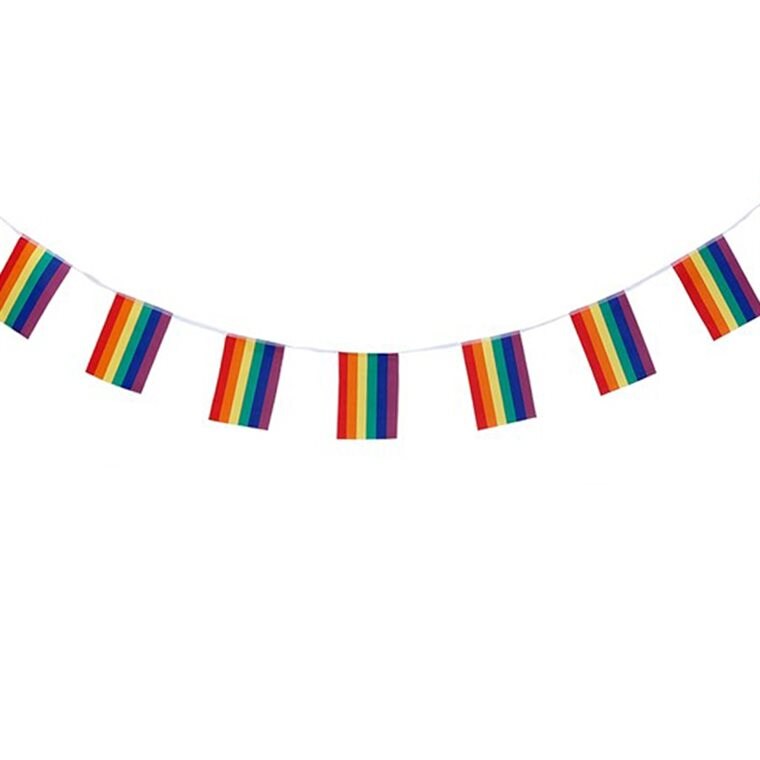 Product Image for Pride Flaggirlang 6 meter