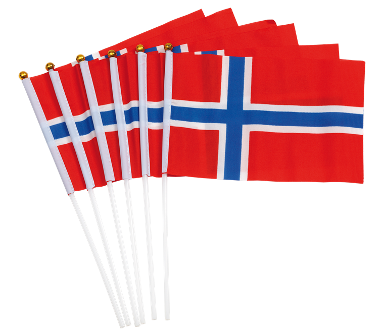 Product Image for Norska Handflaggor 6-pack