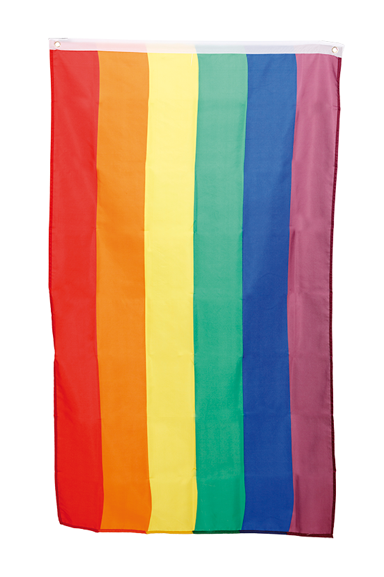 Product Image for Pride Flagga 60 x 90 cm