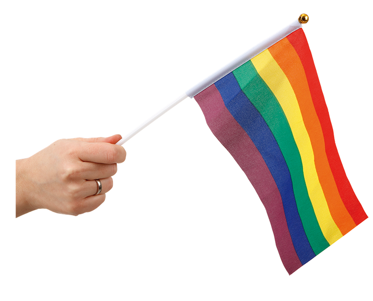Product Image for Pride Handflaggor 6-pack