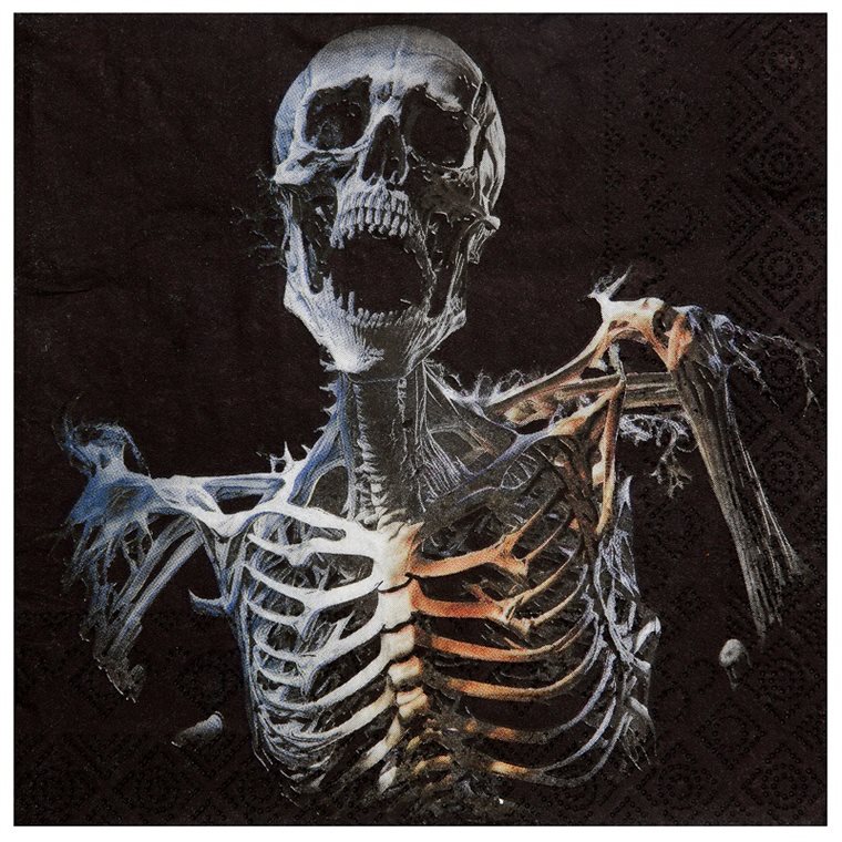 Product Image for Haunted Halloween - Servetter 20-pack