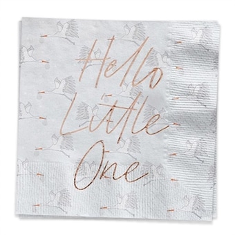 Hello Little One Babyshower Kalaskungen.com