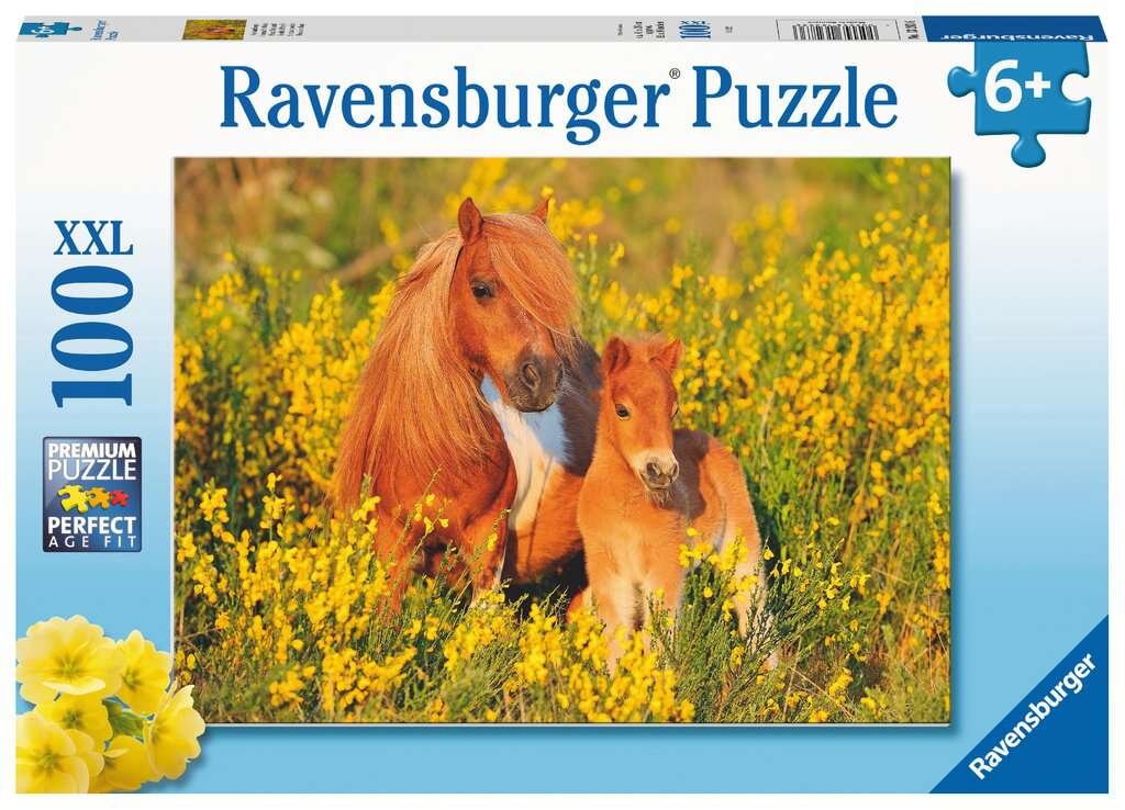 Ravensburger Pussel - Shetlandsponnys 100 bitar XXL