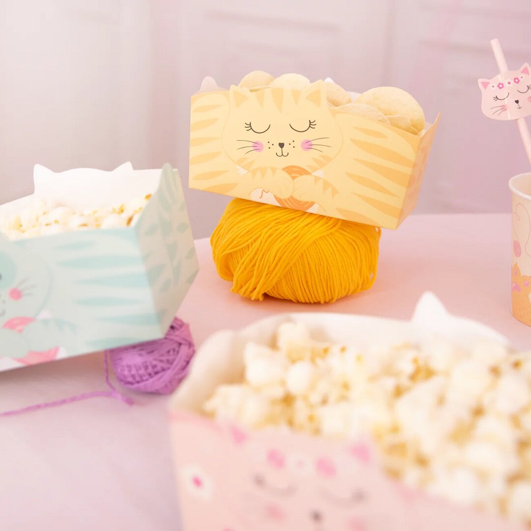 Katt Snacksboxar 3-pack