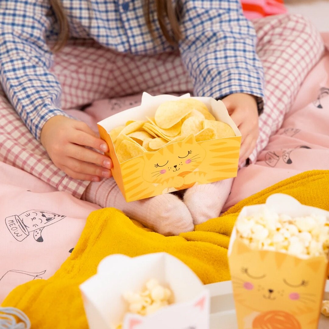 Katt Snacksboxar 3-pack