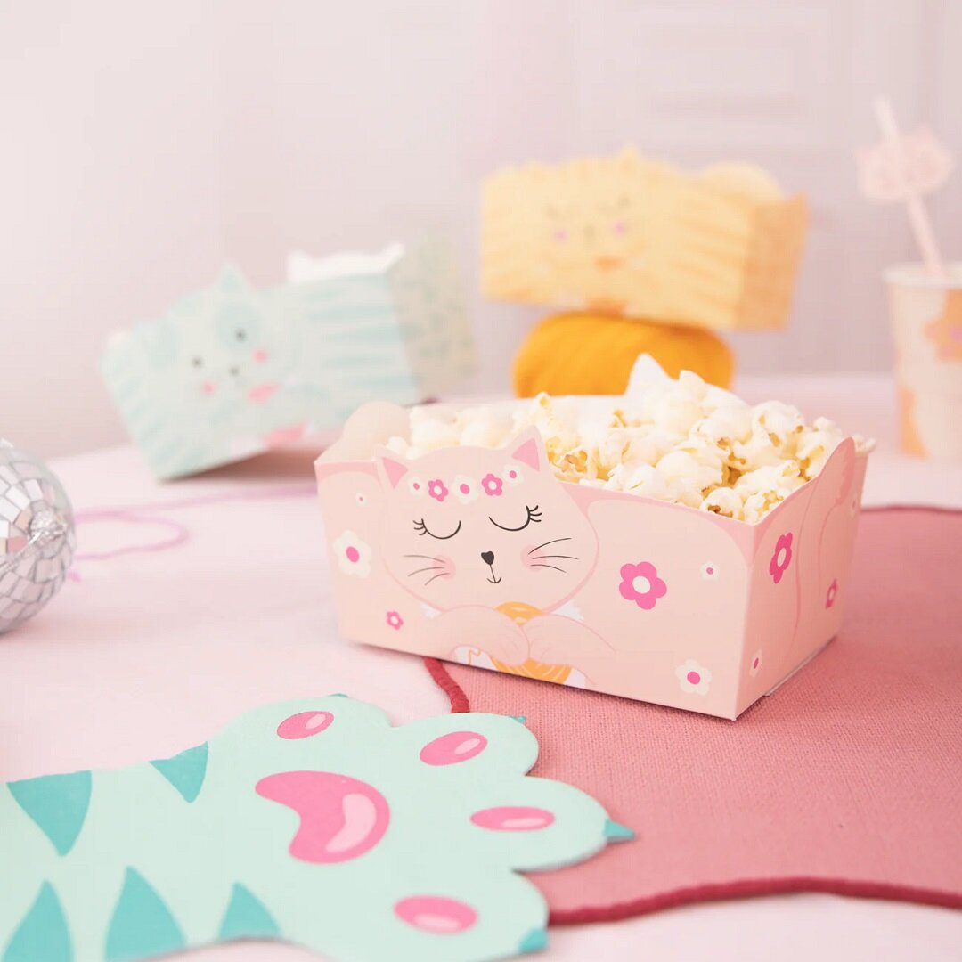 Katt Snacksboxar 3-pack