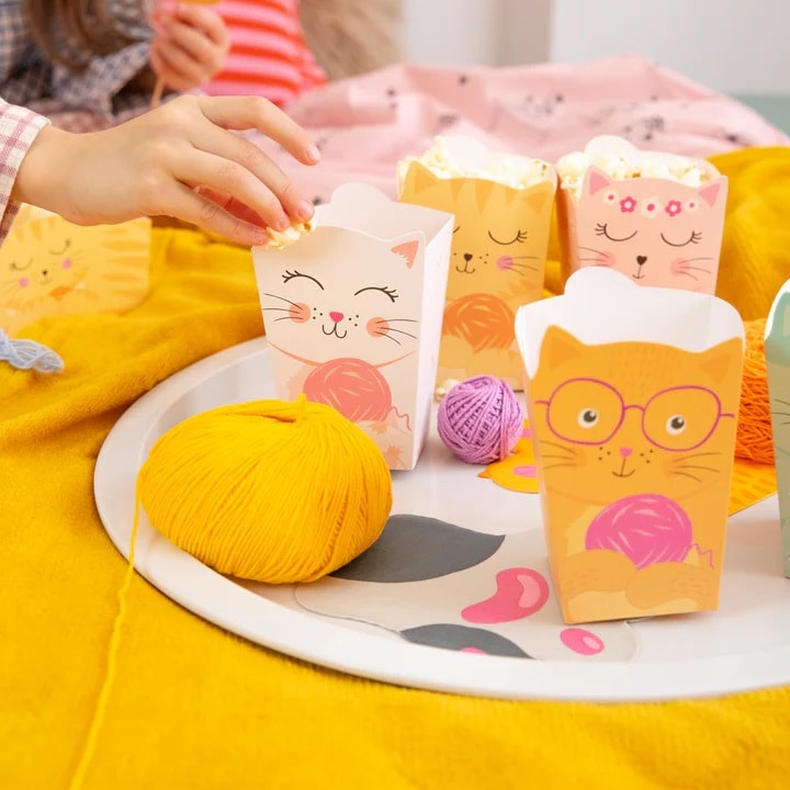 Katt Popcornboxar 6-pack