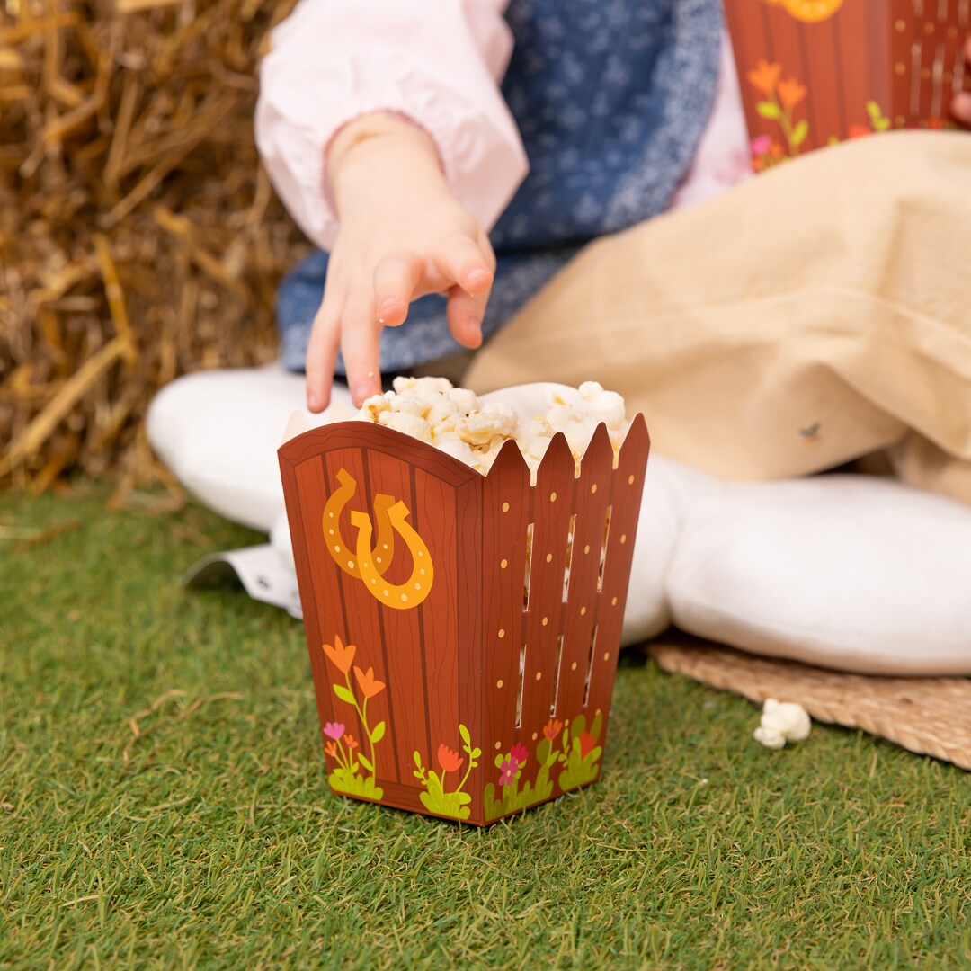 Hästar Popcornboxar 6-pack