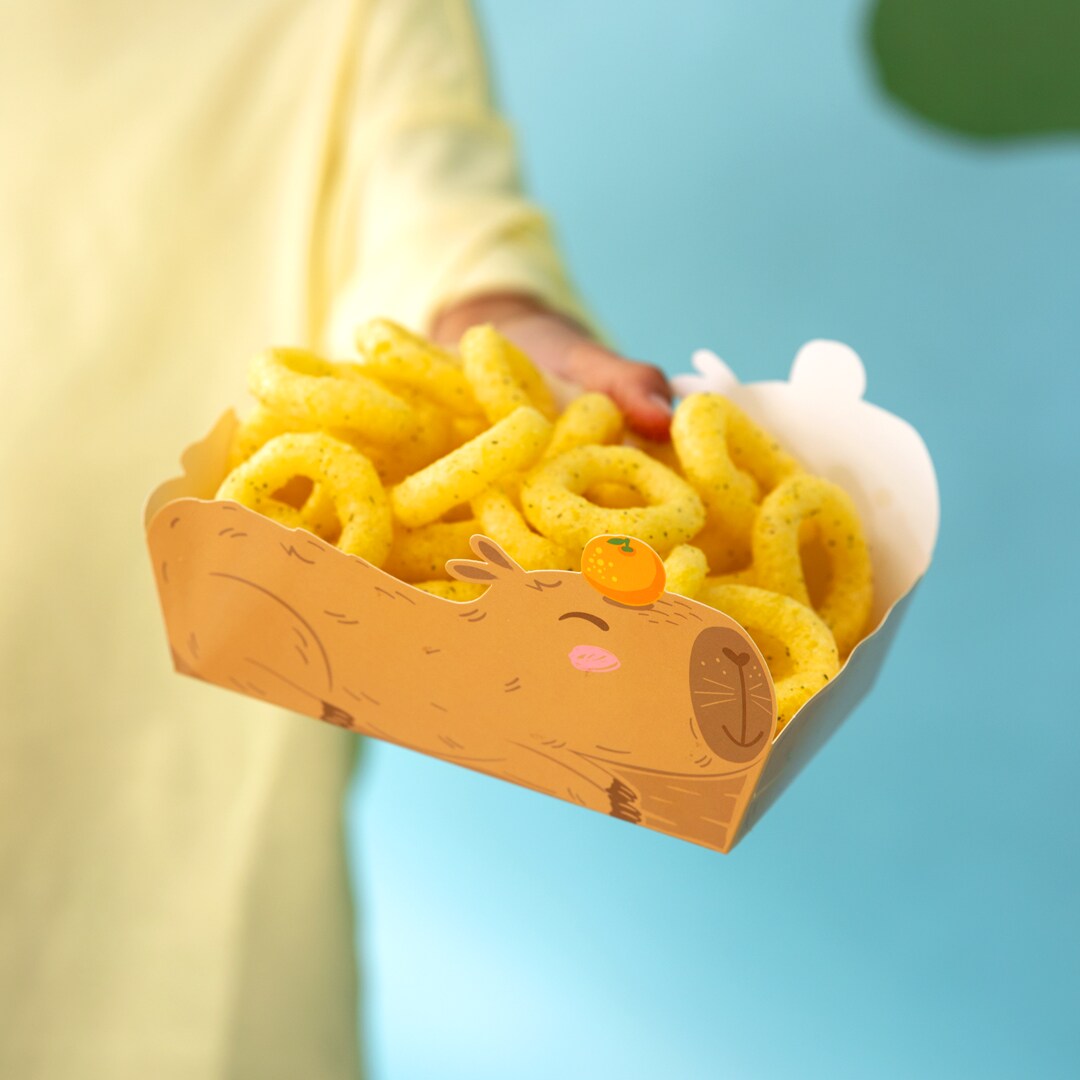 Capybara Snacksboxar 3-pack