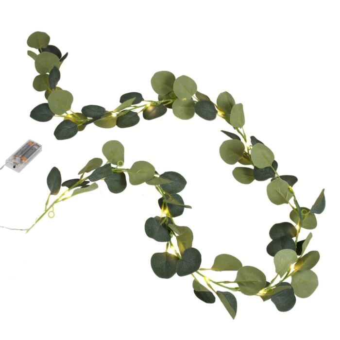 Ljusslinga - Eucalyptus