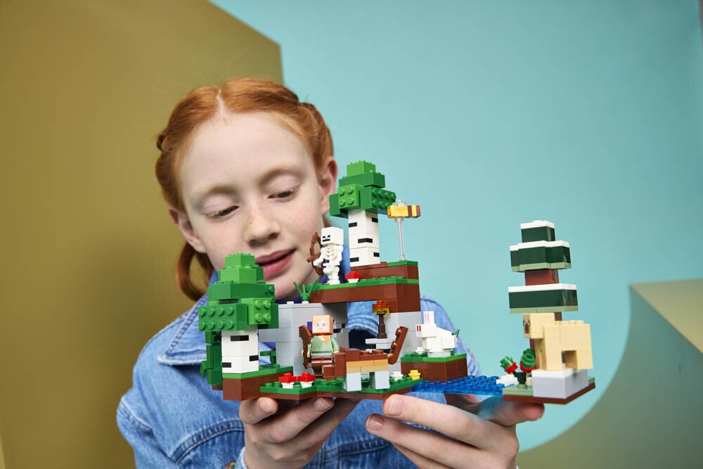 LEGO Minecraft - Första nattens äventyr 8+