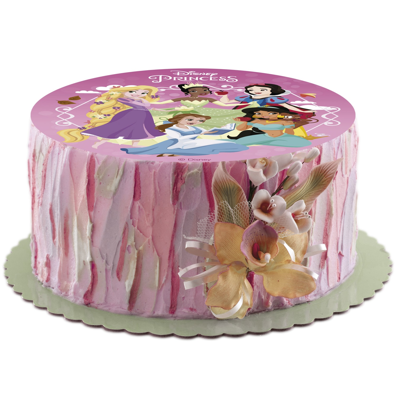 Tårtbild Disney Prinsessor - Sockerpasta 15,5 cm