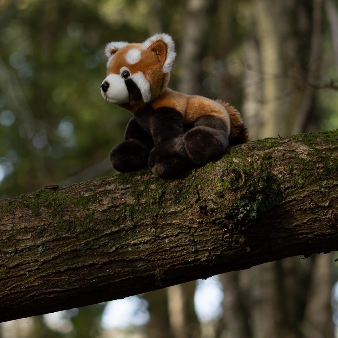 Animigos World of Nature Röd Panda 26 cm