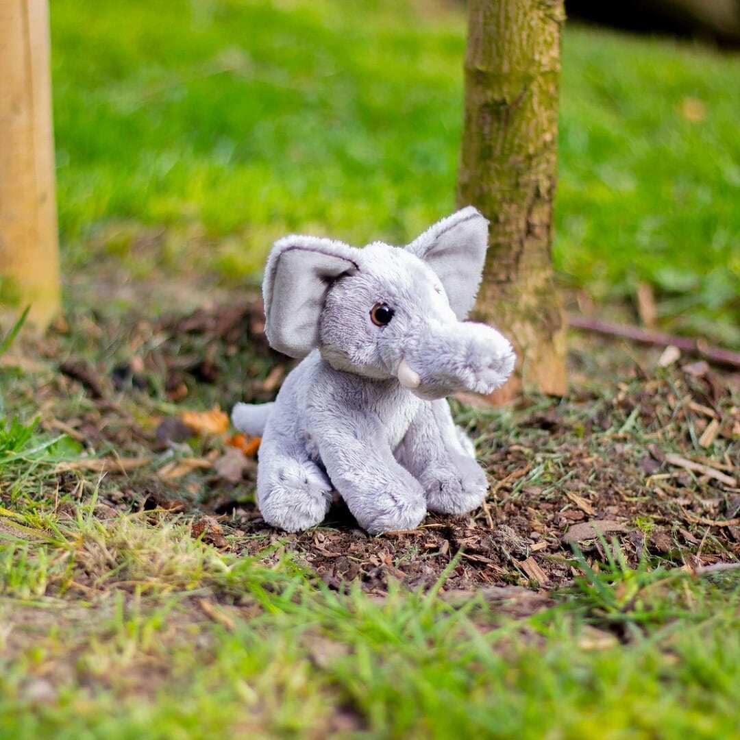 Animigos World of Nature Mini - Elefant