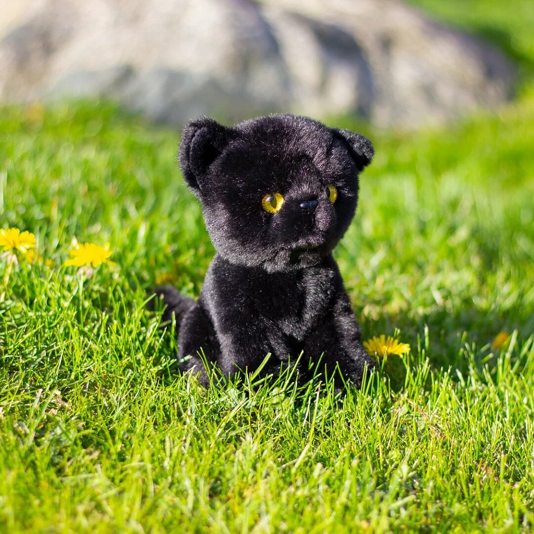 Animigos World of Nature Mini - Svart Katt