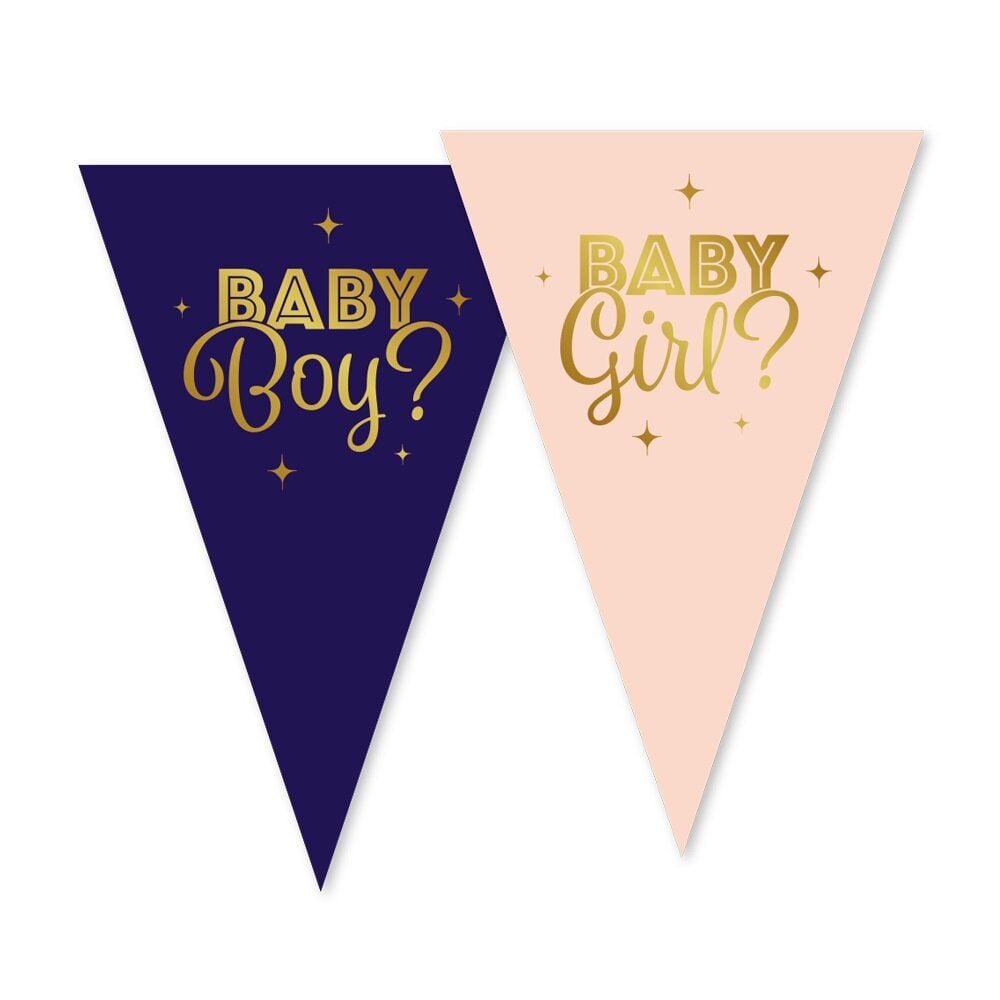 Gender Reveal Flaggirlang 10 meter