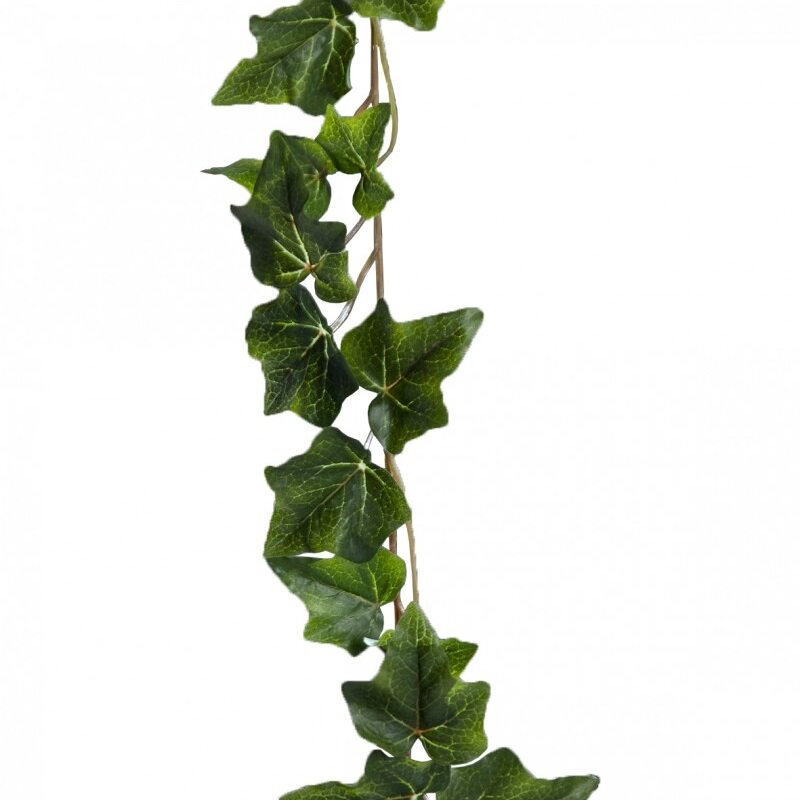 Girlang Murgröna 180 cm