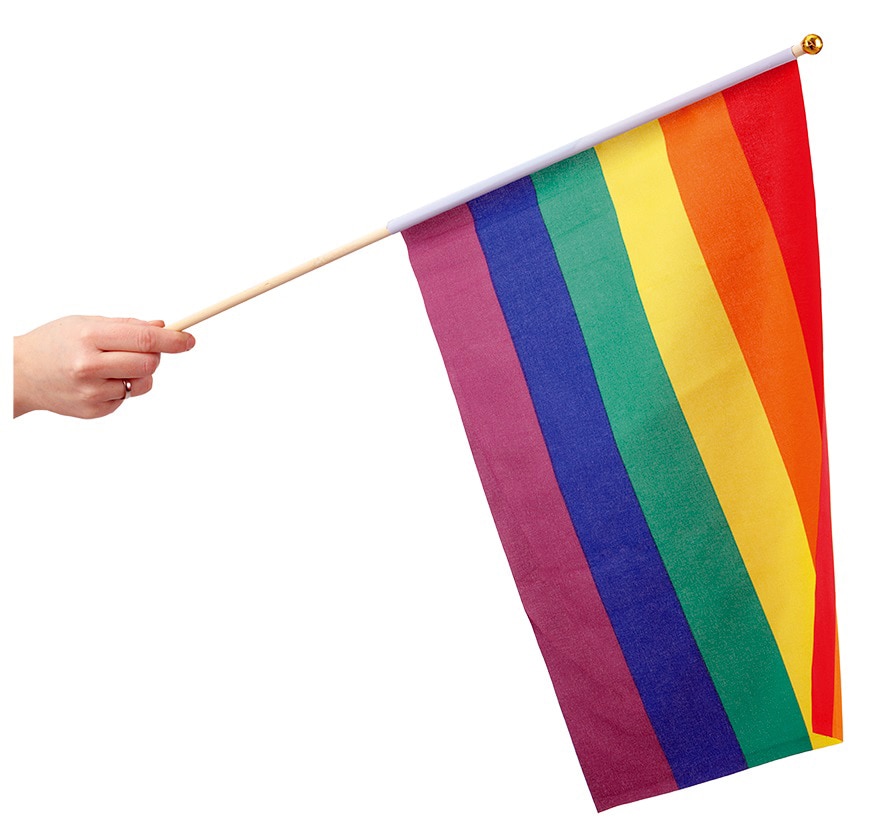 Pride Handflagga 30 x 40 cm
