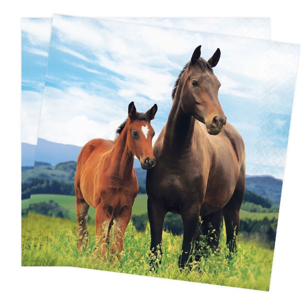 Horse and Pony - Servetter 16-pack