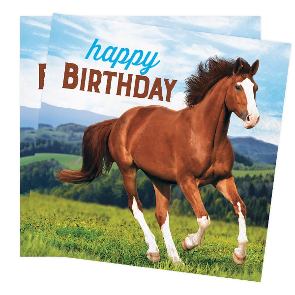 Horse and Pony - Servetter Happy Birthday 16-pack