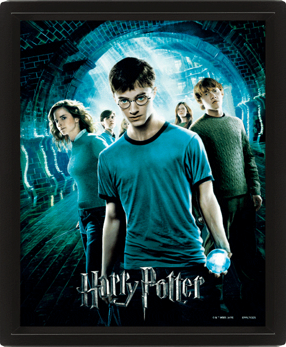 Harry Potter, 3D-Canvas tavla Order of the Phoenix