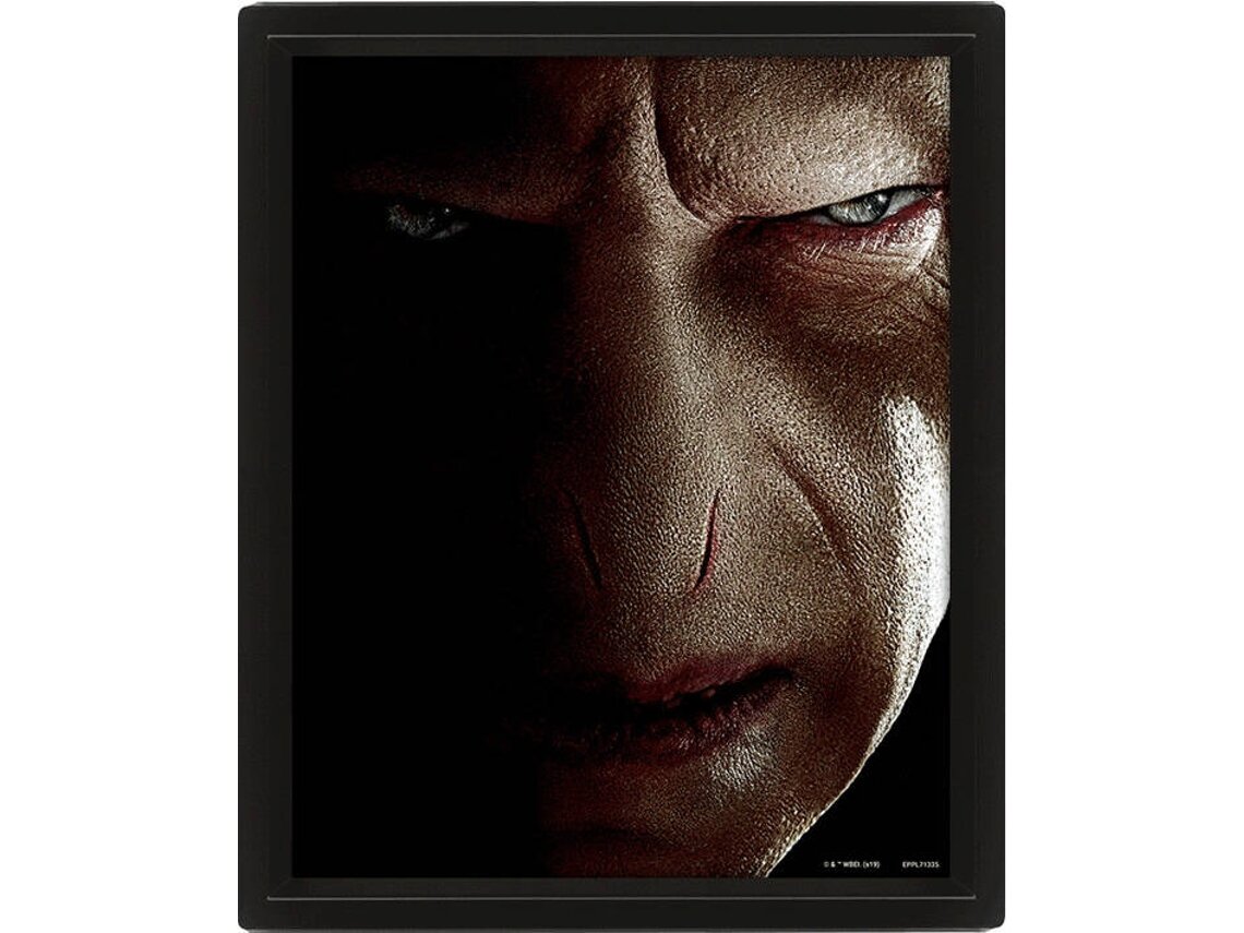 Harry Potter - 3D Canvas tavla Harry vs Voldemort