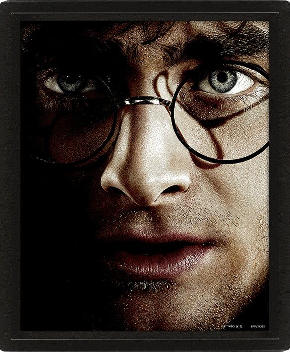 Harry Potter - 3D Canvas tavla Harry vs Voldemort