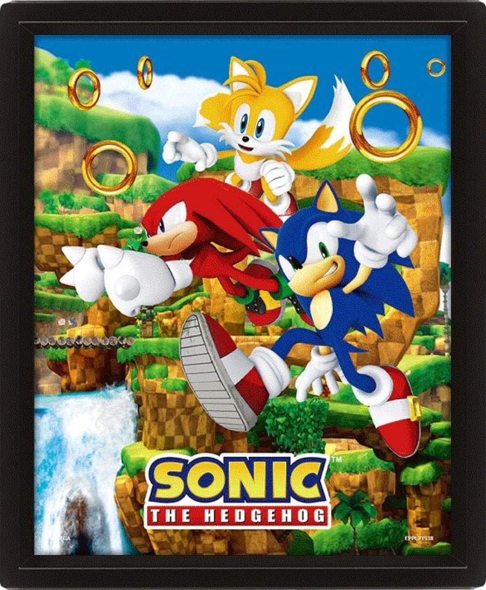 Sonic the Hedgehog - 3D Canvas-tavla