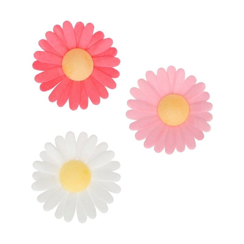 FunCakes - Ätbara Oblatblommor, Daisy 13-pack