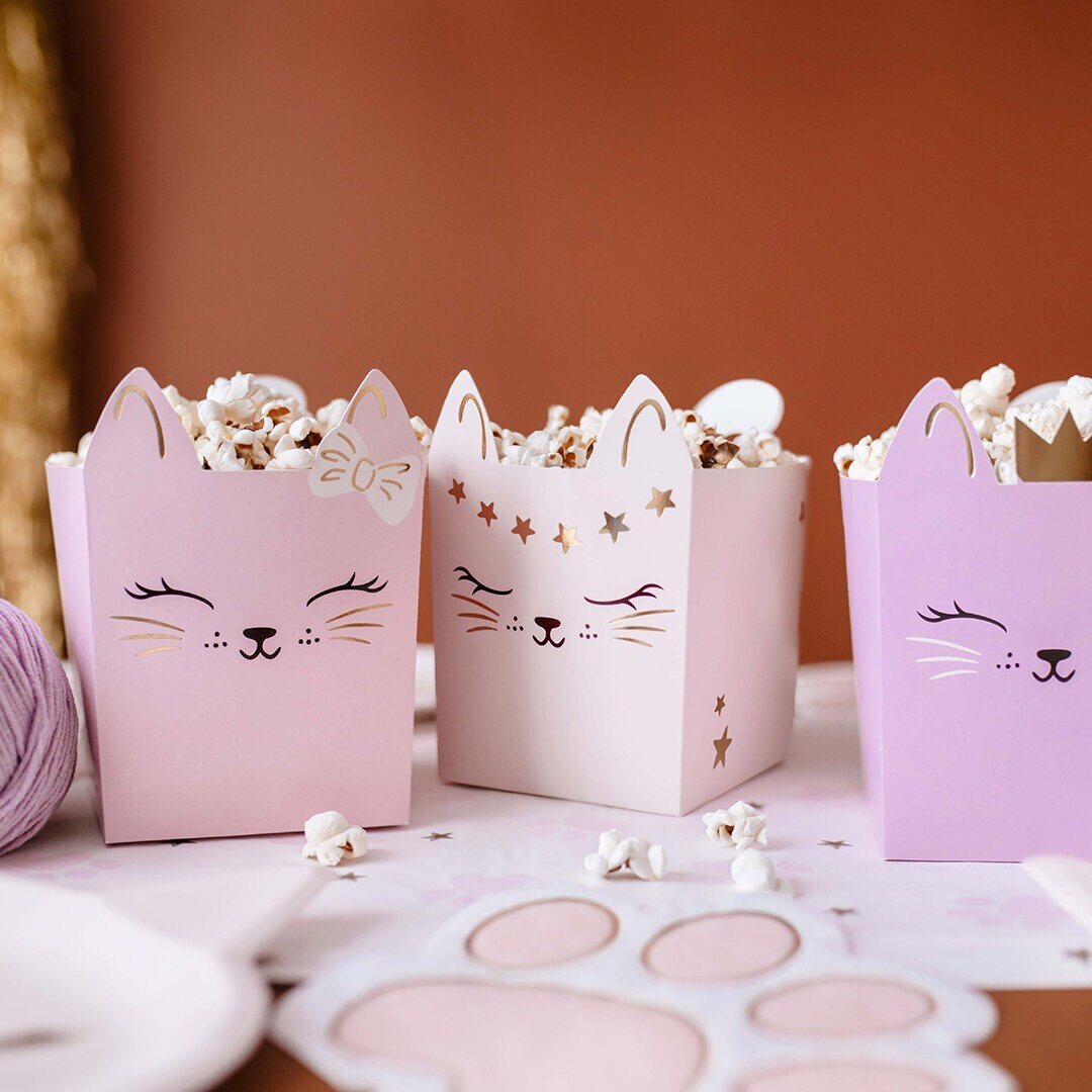 Cat Party - Snacksboxar 3-pack