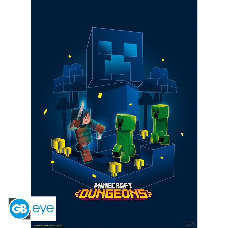 Posters - Minecraft Dungeons 2-pack