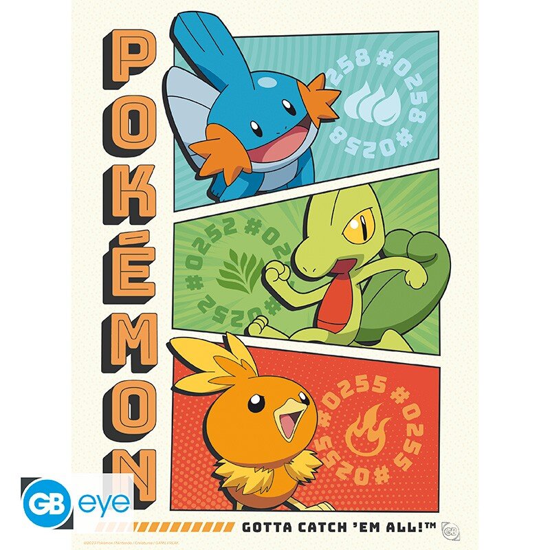 Pokémon - A4 Posters i 9-pack