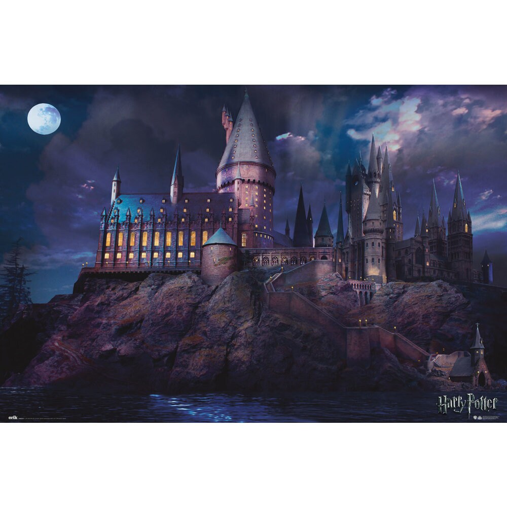 Poster - Harry Potter Hogwarts Castle 61 x 91,5 cm