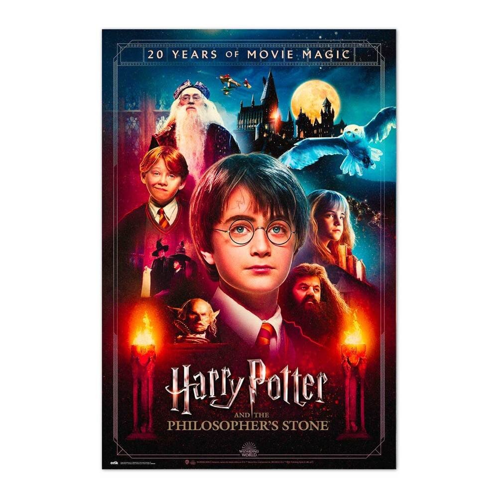 Poster - Harry Potter 20th Anniversary 61 x 91,5 cm