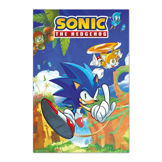 Poster - Sonic the Hedgehog 61 x 91,5 cm
