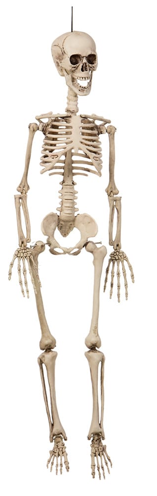 Hängande skelett 42 cm