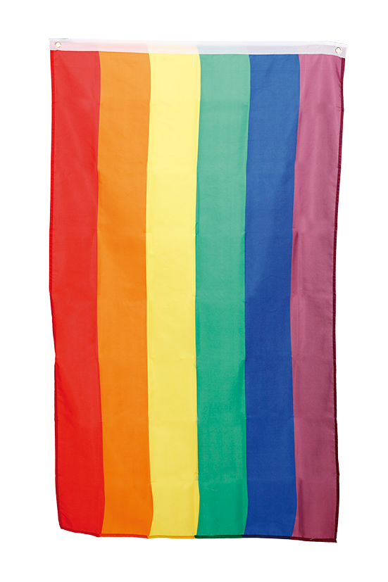 Pride Flagga 60 x 90 cm