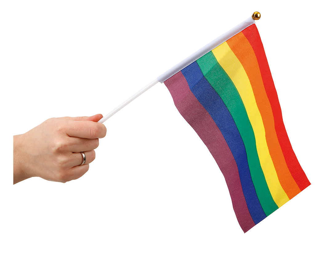 Pride Handflaggor 6-pack