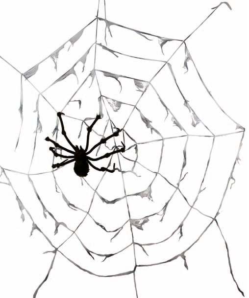 Gigantiskt spindelnät med spindel 290 cm
